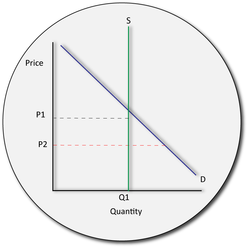 IB economcis exceptions to supply